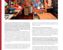 " Perforierte Eier Eier" erschienen in der Holunderelfe, Ausgabe 4/2021, Heft 21, Winter 2021/2022